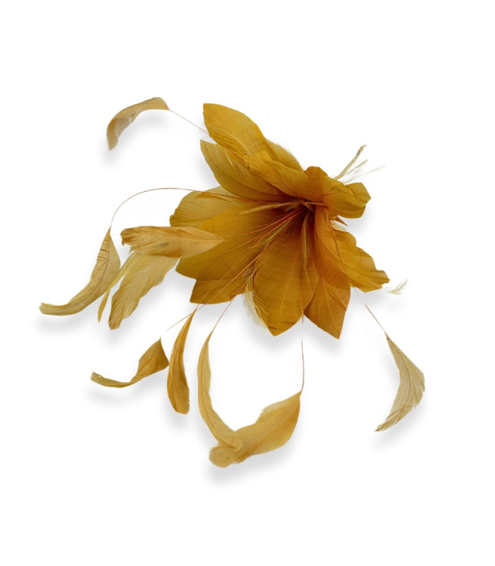 FLEUR EN PLUMES