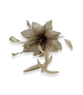 FLEUR EN PLUMES