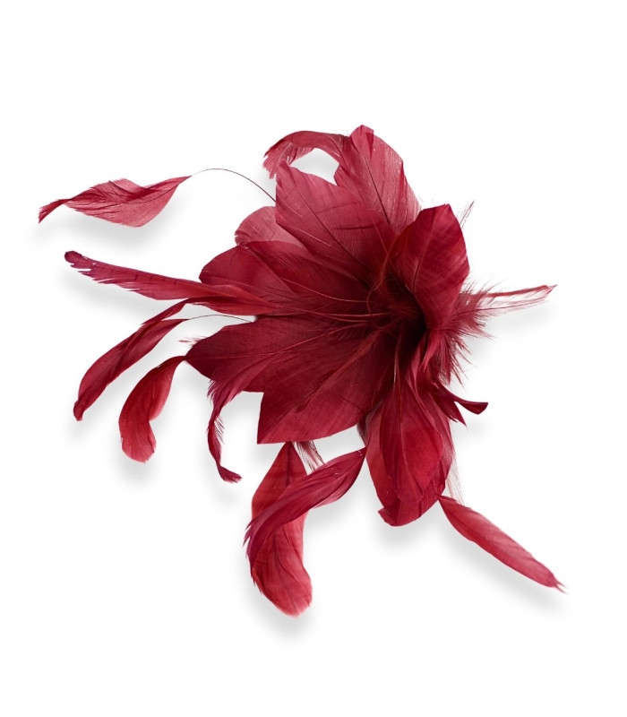 FLEUR EN PLUMES