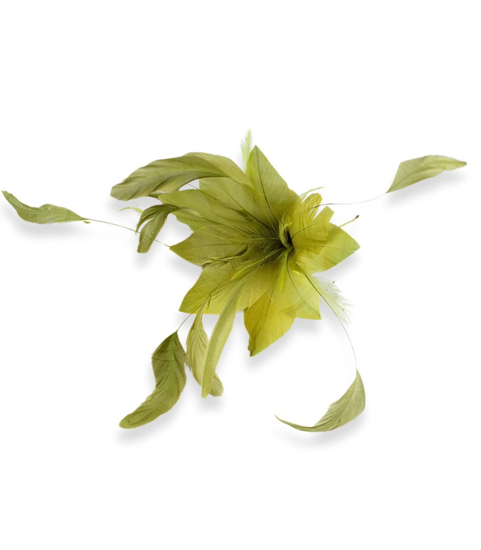 FLEUR EN PLUMES