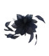 FLEUR EN PLUMES