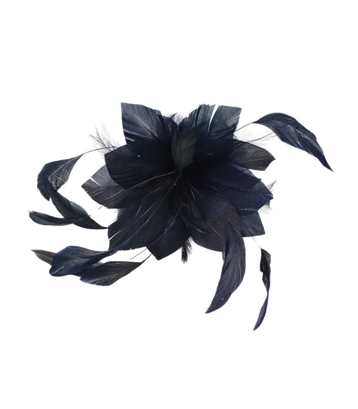FLEUR EN PLUMES