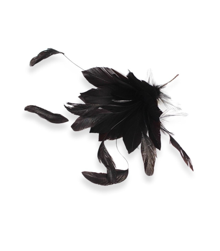 FLEUR EN PLUMES