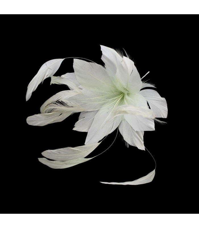 FLEUR EN PLUMES