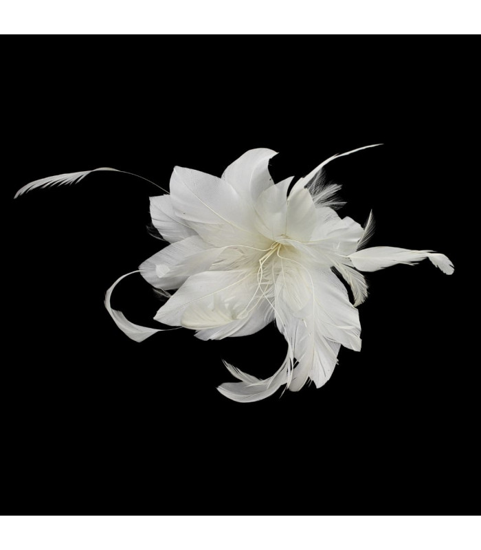 FLEUR EN PLUMES