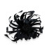 FLEUR EN PLUMES D'OIE - PISTILS