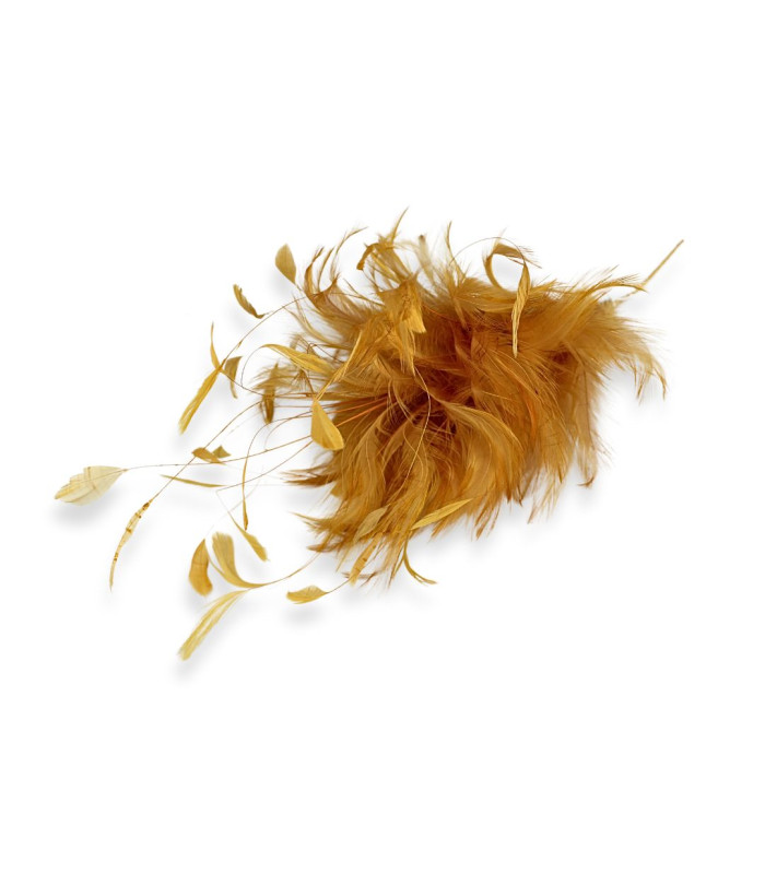 MONTAGE DE PLUMES DE COQ