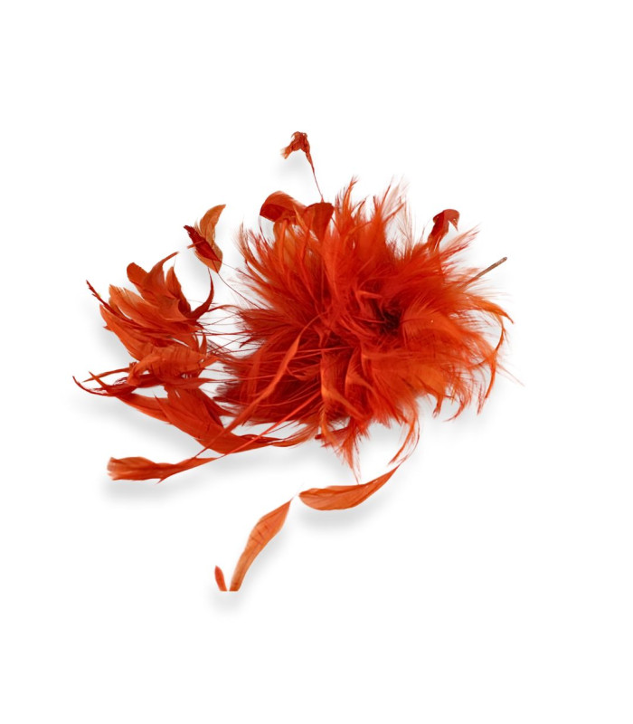 MONTAGE DE PLUMES DE COQ