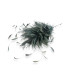 MONTAGE DE PLUMES DE COQ