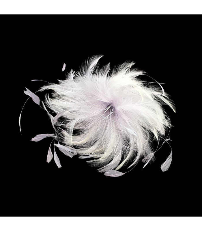 MONTAGE DE PLUMES DE COQ