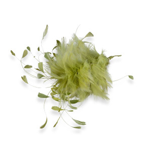 Montage de plumes de coq