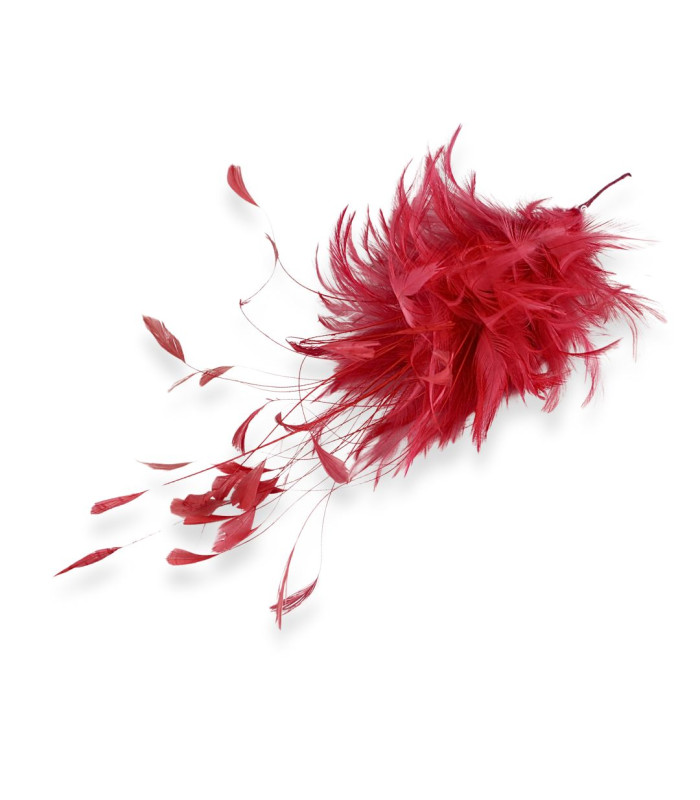 MONTAGE DE PLUMES DE COQ