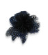 FLEUR DE PLUMES EXCLUSIVE - PINTADE ET AUTRUCHE