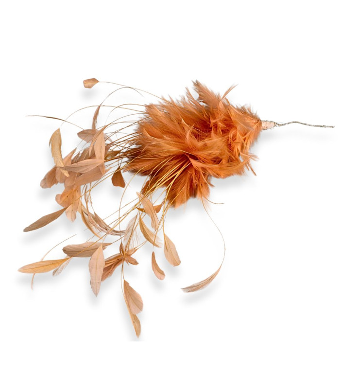 MONTAGE DE PLUMES DE COQ