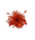 FLEUR EN PLUMES DE COQ