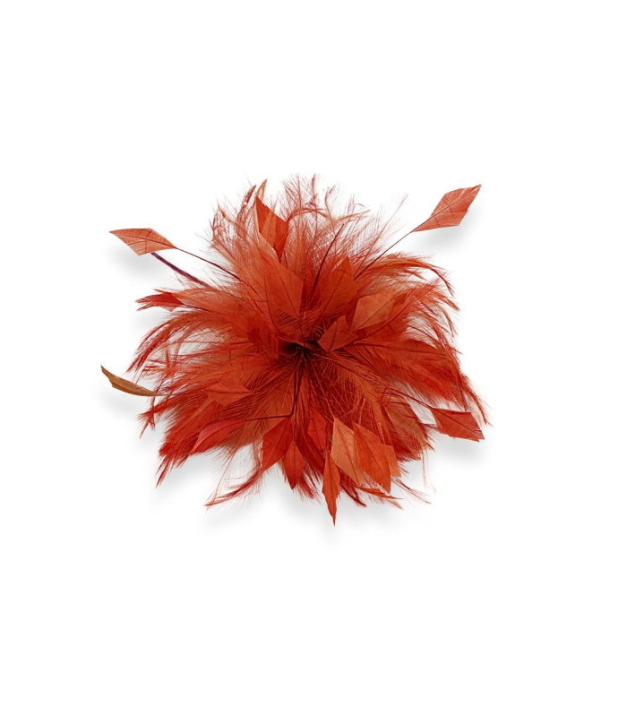 FLEUR EN PLUMES DE COQ