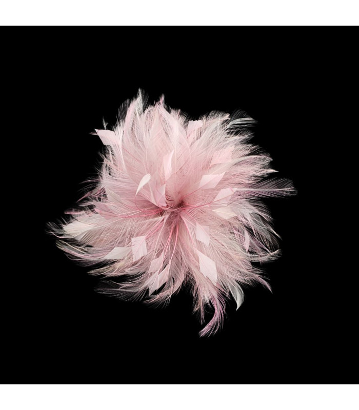 FLEUR EN PLUMES DE COQ