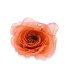 ROSE EN ORGANZA