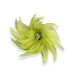 FLEUR EN ORGANZA Ø 15CM