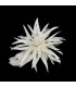 FLEUR EN PLUMES D'OIE