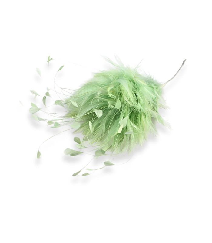 ARRANGEMENT DE PLUMES DE COQ