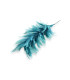 MONTAGE DE PLUMES - COU DE COQ