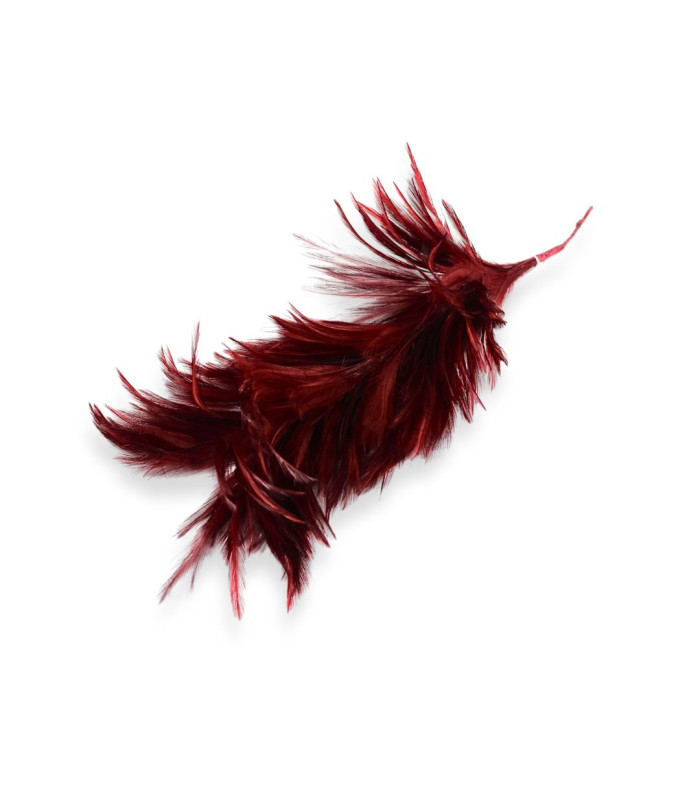 MONTAGE DE PLUMES - COU DE COQ