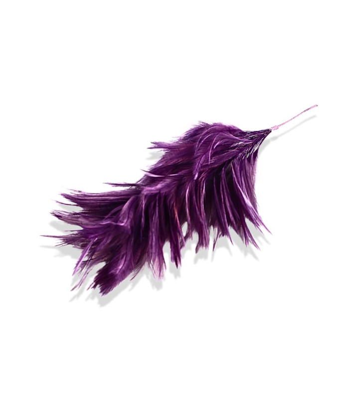 MONTAGE DE PLUMES - COU DE COQ