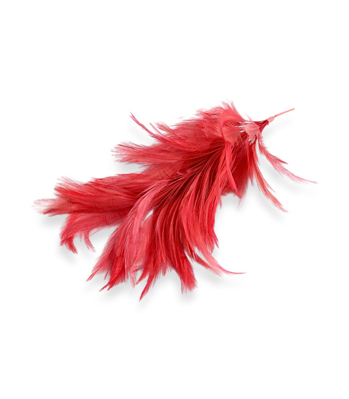 MONTAGE DE PLUMES - COU DE COQ