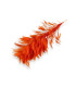 MONTAGE DE PLUMES - COU DE COQ