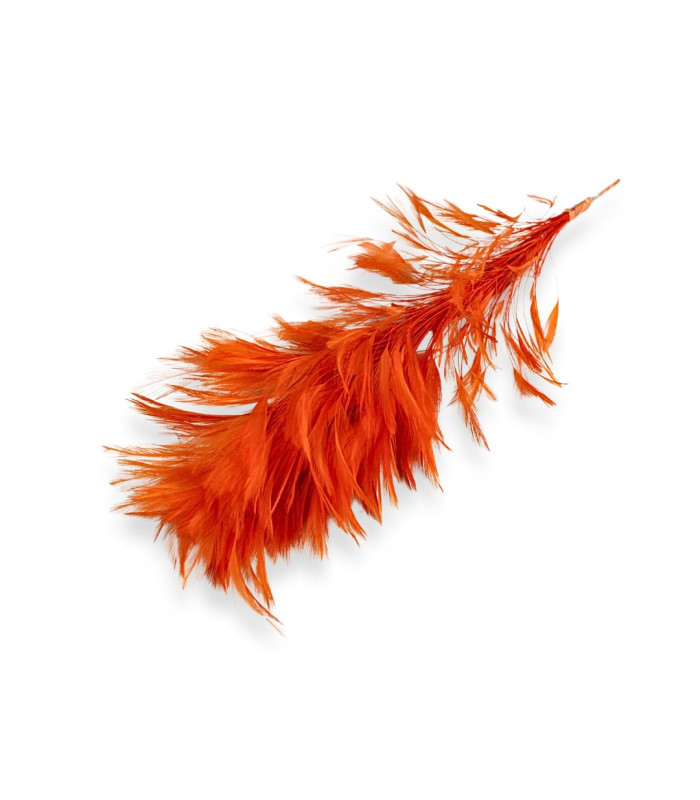 MONTAGE DE PLUMES - COU DE COQ