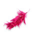 MONTAGE DE PLUMES - COU DE COQ