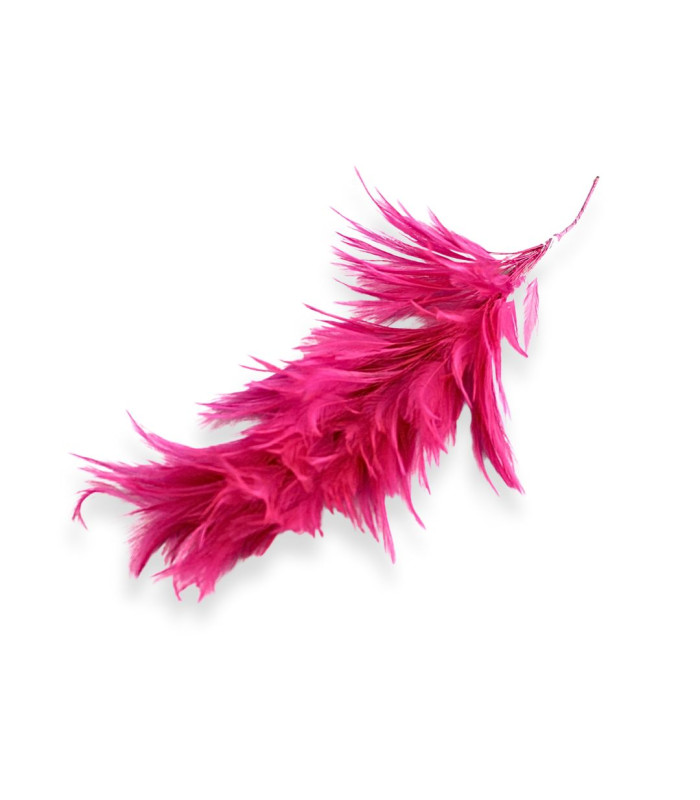MONTAGE DE PLUMES - COU DE COQ