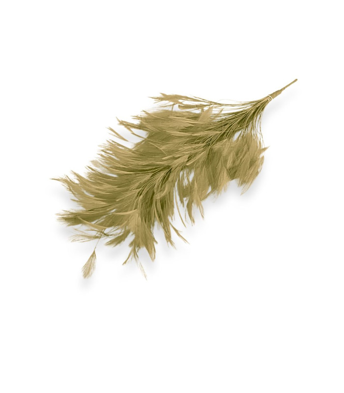 MONTAGE DE PLUMES - COU DE COQ