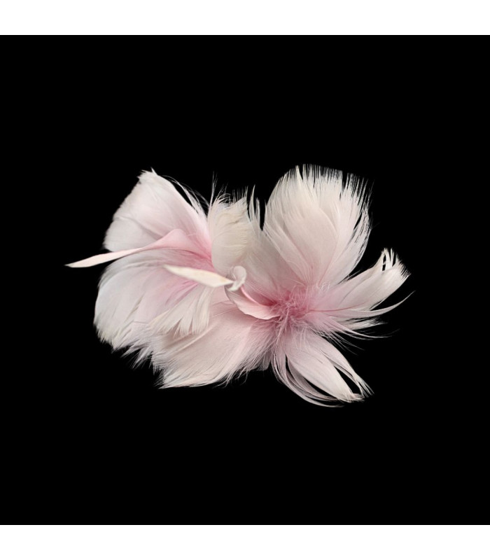 MONTAGE FLEUR EN PLUMES - OIE