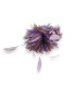 ARRANGEMENT DE PLUMES DE COQ