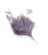 ARRANGEMENT DE PLUMES DE COQ