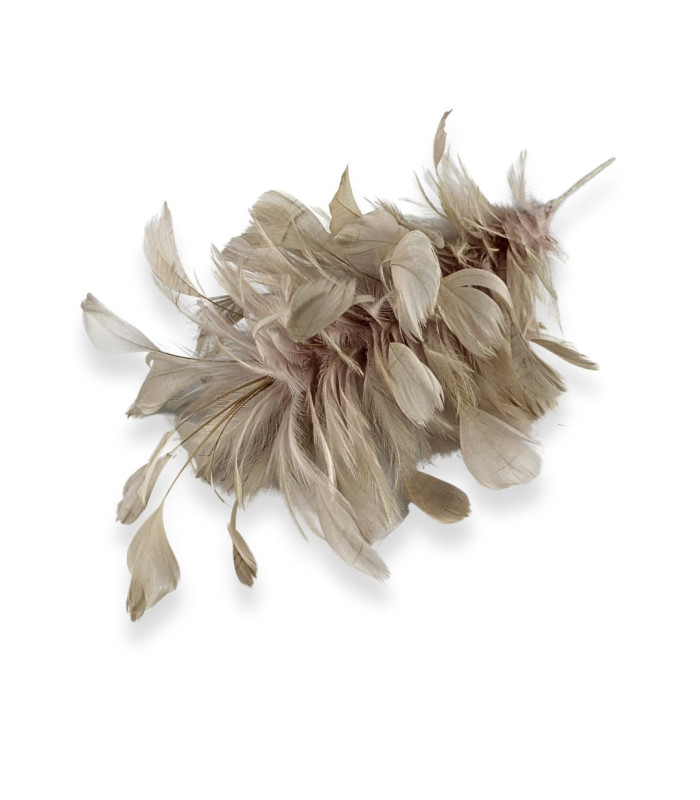 ARRANGEMENT DE PLUMES DE COQ