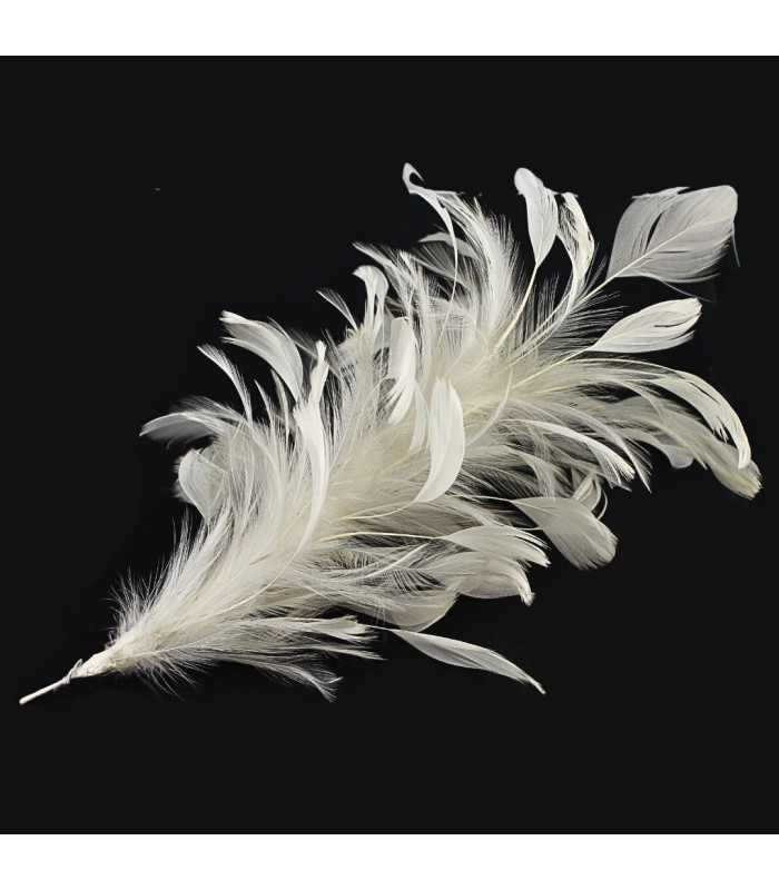 ARRANGEMENT DE PLUMES DE COQ