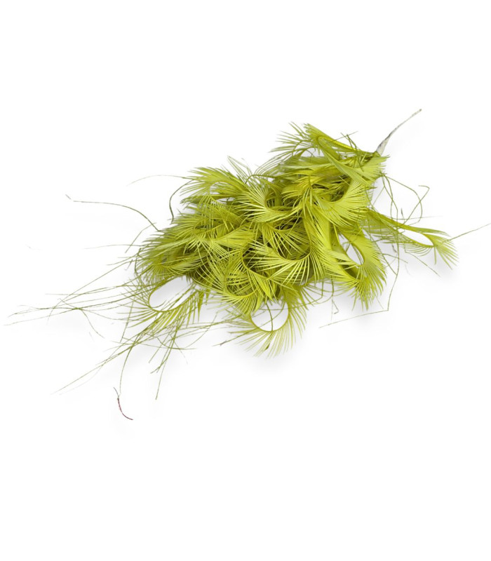 ARRANGEMENT DE PLUMES D'OIE BIOT