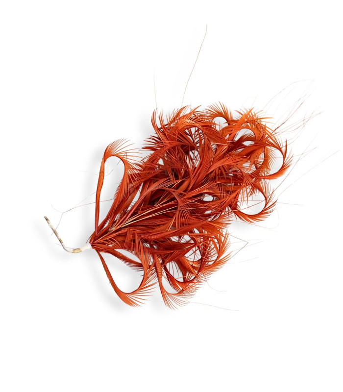 ARRANGEMENT DE PLUMES D'OIE BIOT