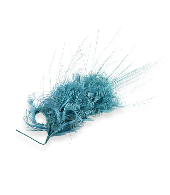 ARRANGEMENT DE PLUMES D'OIE BIOT