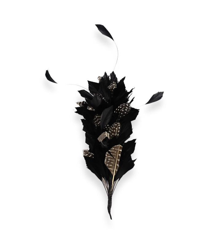 ﻿ARRANGEMENT DE PLUMES D'OIE ET ANTENNES DE COQ