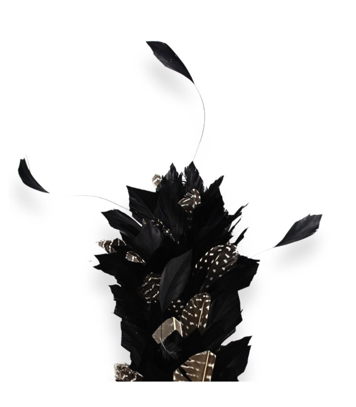 ﻿ARRANGEMENT DE PLUMES D'OIE ET ANTENNES DE COQ