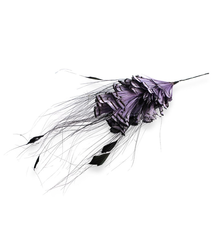 MONTAGE DE PLUMES DE FAISAN