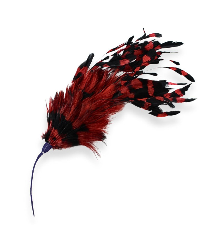 MONTAGE DE PLUMES EXCLUSIF