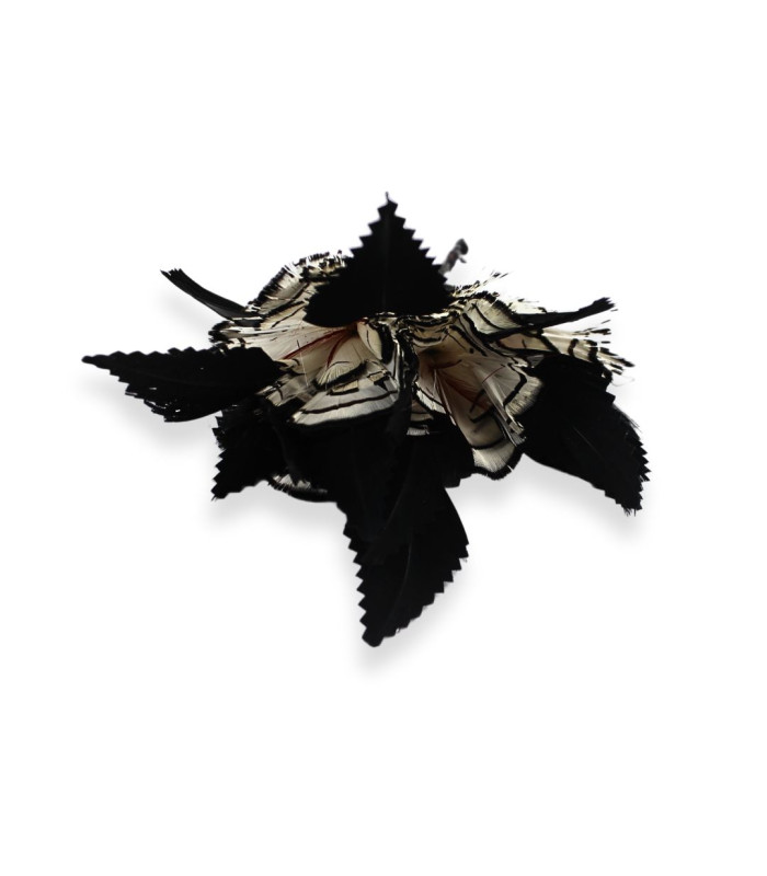 MONTAGE DE PLUMES – FAISAN DORÉ ET OIE