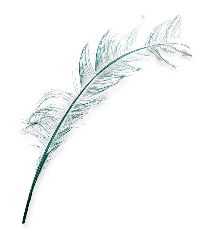 PLUMES D'AUTRUCHE BRÛLÉES - 58 CM