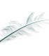 PLUMES D'AUTRUCHE BRÛLÉES - 58 CM