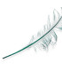 PLUMES D'AUTRUCHE BRÛLÉES - 58 CM